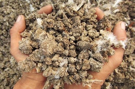 雞糞發(fā)酵制作有機肥和飼料的方法