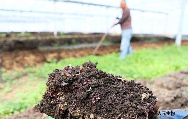 果園有機肥怎么施用效果才好？
