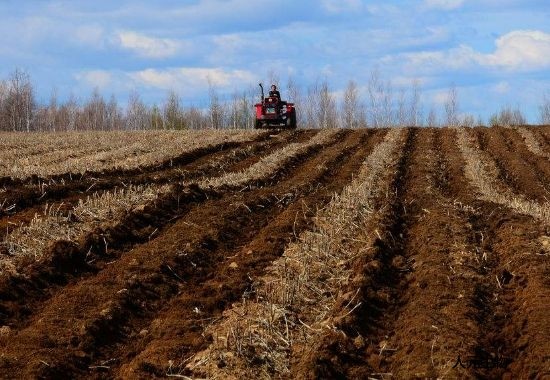 化肥和有機肥搭配使用有哪些好處？