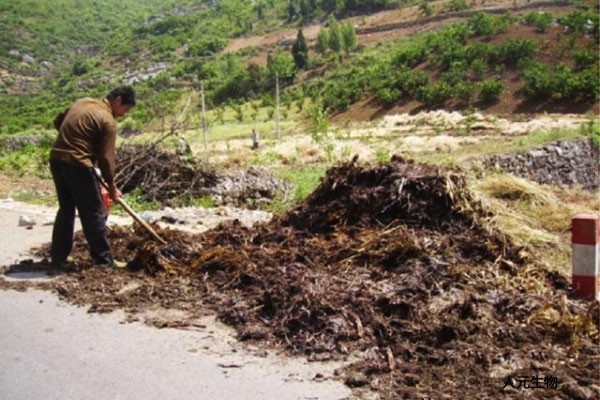 果園有機肥怎么施用效果才好？