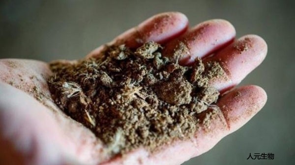 施用畜禽糞便有機(jī)肥需要注意哪些？