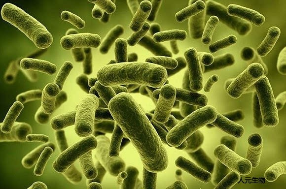 微生物菌肥料有哪些種類？