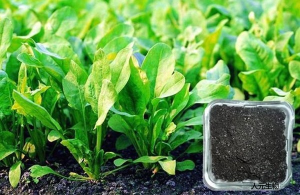 生物有機肥真的能改善農(nóng)產(chǎn)品品質(zhì)、提高土壤肥力嗎？