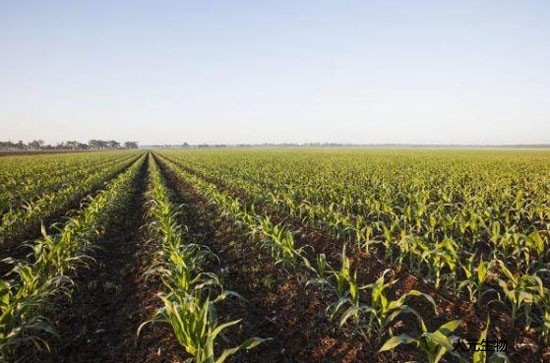 都說有機(jī)肥好，為啥老百姓卻不認(rèn)可呢？