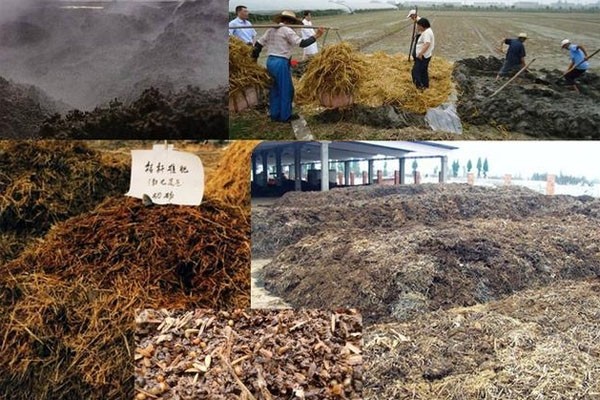 秸稈有機(jī)肥需要怎樣發(fā)酵好？