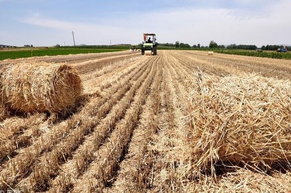 秸稈有機(jī)肥需要怎樣發(fā)酵好？