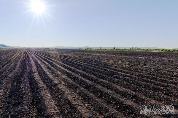 小麥底肥施用有機(jī)肥效果好不好？