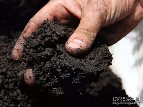 每畝地施用多少有機肥，土壤有機質(zhì)才能增加1%？