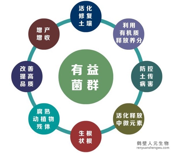 都說微生物菌劑產(chǎn)品貴，你卻不知道土壤微生物到底有多重要！