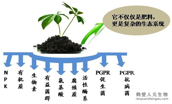 都說微生物菌劑產(chǎn)品貴，你卻不知道土壤微生物到底有多重要！