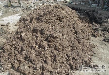 豬糞有機(jī)肥如何發(fā)酵？