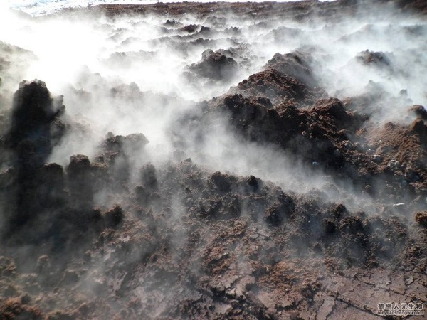 河南如何自制有機(jī)肥