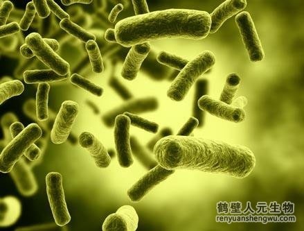 未腐熟的有機(jī)肥的副作用是什么？