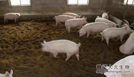 動物糞便的成分究竟是什么？