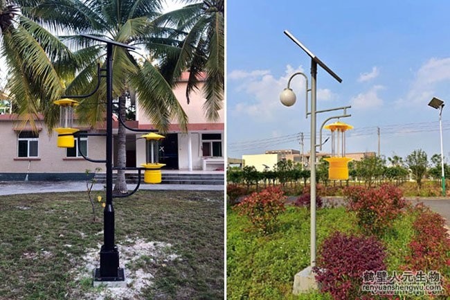 景觀式太陽能殺蟲燈應用案例1