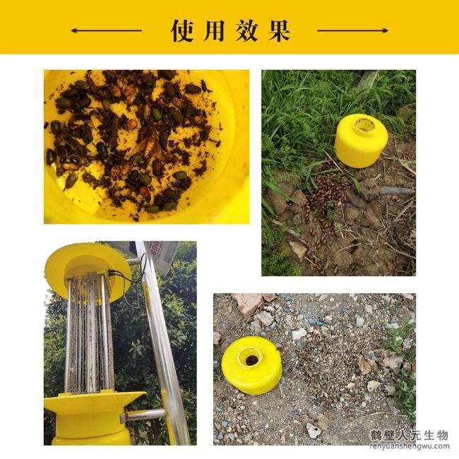 景觀式太陽(yáng)能風(fēng)吸殺蟲燈使用效果