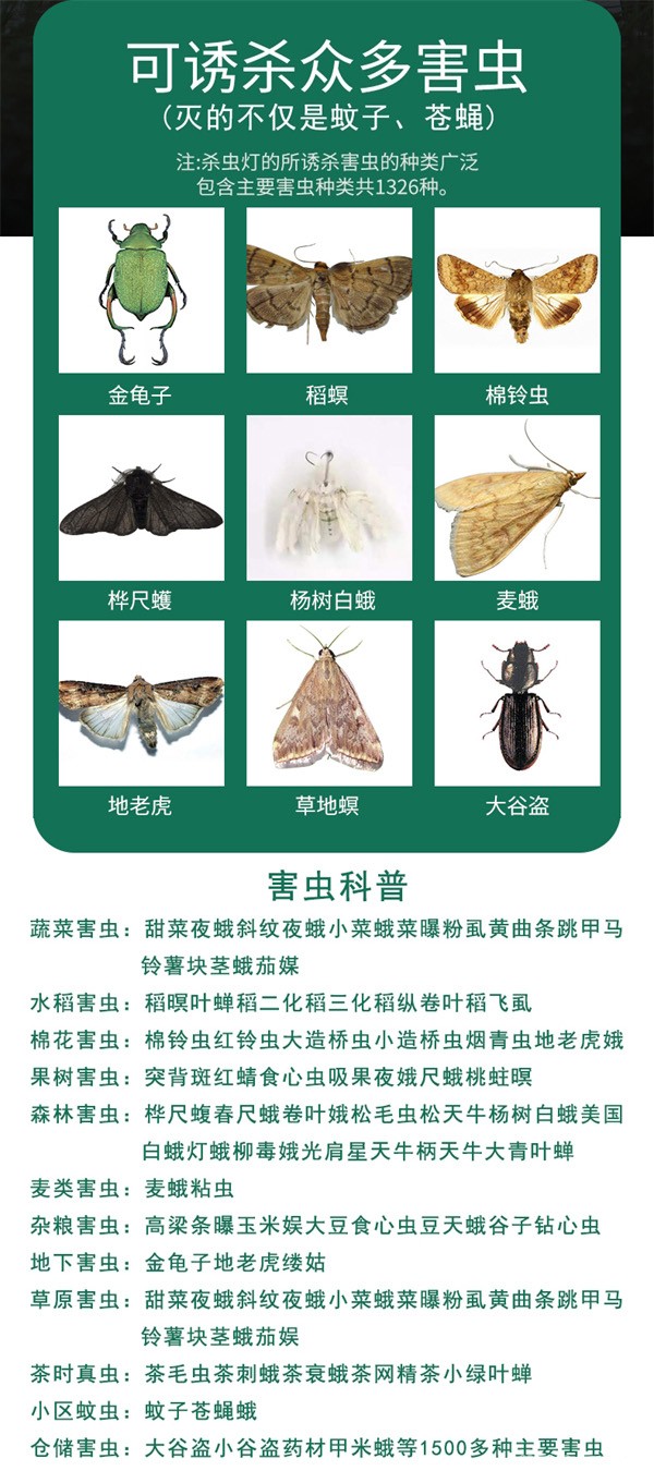 頻振式太陽(yáng)能殺蟲燈誘殺害蟲種類