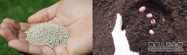 廣東有機肥和化肥的對比