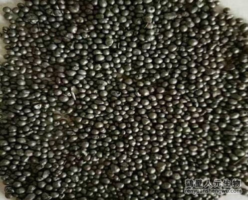 關于有機肥廠收益