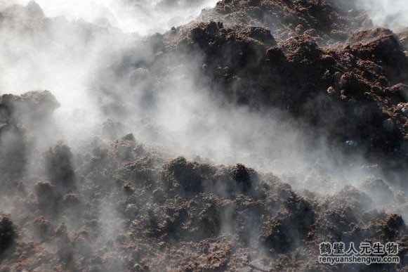 廣東有機肥和化肥