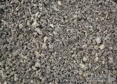 雞糞有機肥發(fā)酵過程