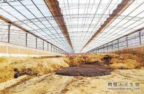 養(yǎng)牛場如何利用牛糞和有機肥設(shè)備致富