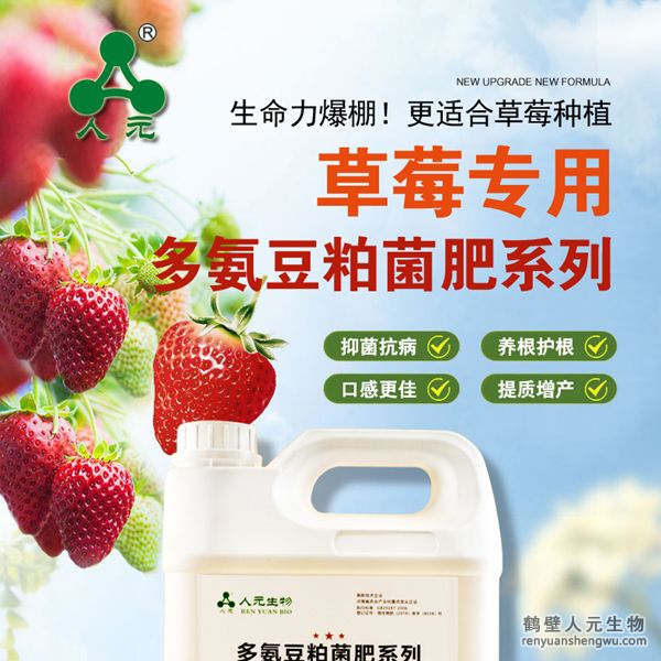 多氨豆粕菌肥系列草莓專用肥由河南省微生物菌劑工程技術(shù)研究中心研制，鶴壁市人元生物技術(shù)發(fā)展有限公司生產(chǎn)，本品是以固態(tài)發(fā)酵豆粕為主要原料，豆粕經(jīng)過(guò)有益微生物菌種發(fā)酵分解，充分釋放游離氨基酸，同時(shí)輔以枯草、地衣、膠凍樣芽孢桿菌等有益菌群。