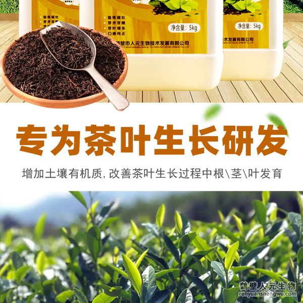 可增加根部須根數量，提高作物的附著能力；使作物主根粗壯、須根濃密，加速作物對養(yǎng)分的吸收；富含的有益菌具有固氮、解磷、解鉀功能，有效釋放土壤中的速效養(yǎng)分，提高肥料利用率，增加茶葉產量。