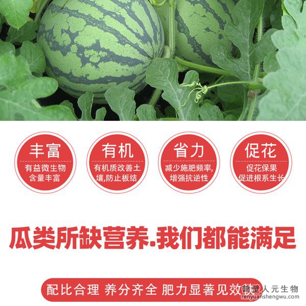 提高肥料利用率，增加瓜類(lèi)產(chǎn)量，提高授粉率和坐瓜率，減少生理性落花落果，使幼瓜迅速增大；成熟果實(shí)個(gè)大均勻、果肉密實(shí)、色澤鮮艷、嬌嫩多汁、口感好、甜度高、提高品質(zhì)，增加產(chǎn)量，減少瓜類(lèi)土傳病害發(fā)生蔓延。