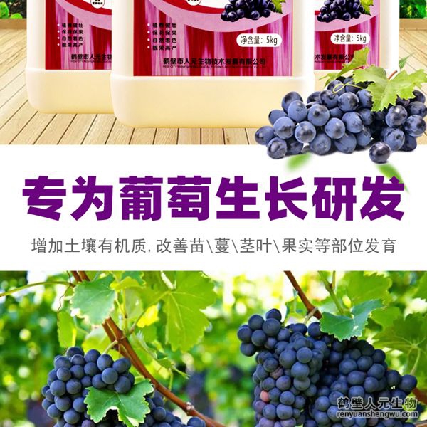 可有效增加根部須根數(shù)量，提高作物的附著能力；使作物主根粗壯、須根濃密，加速作物對養(yǎng)分的吸收；