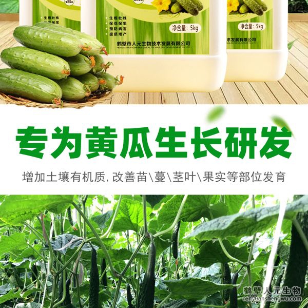 可有效增加根部須根數(shù)量，提高作物的附著能力；使作物主根粗壯、須根濃常，加速作物對養(yǎng)分的吸收；富含的有益菌具有面氮、解磷、解鉀功能，有效釋放土壤中的速效養(yǎng)分，