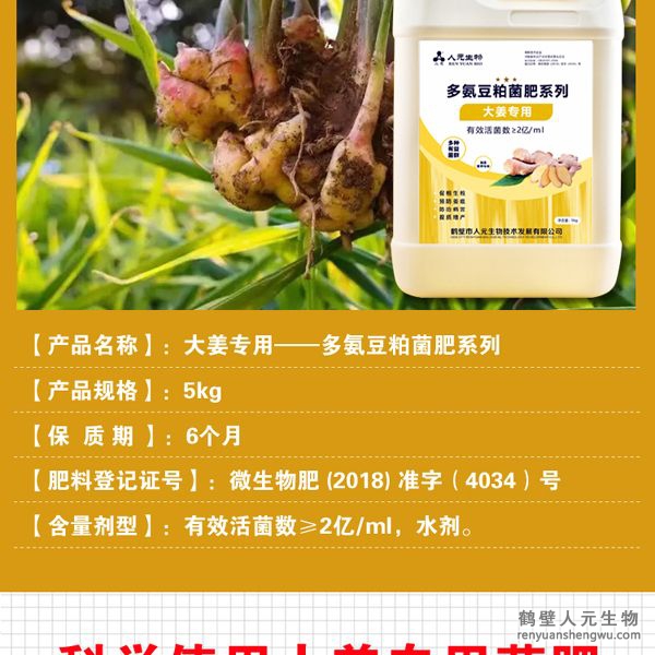 提高大姜膨產(chǎn)活力，姜多、姜大，姜面光滑，姜型健壯，提高品質(zhì)，對姜腐?。ń?有好的防治作用。并能提高改善大姜口感，使大姜辛辣清香味道純。使果面潔凈、色澤誘人、口感上佳，并能提早果實(shí)上市時間。