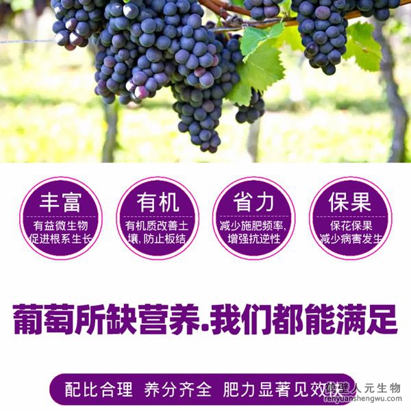 富含的有益菌具有固氮、解磷、解鉀功能，有效釋放土壤中的速效養(yǎng)分，提高肥料利用率，增加葡萄產(chǎn)量，提高葡萄抗逆能力，減少霜霉病、白粉病、炭疽病的發(fā)生。
