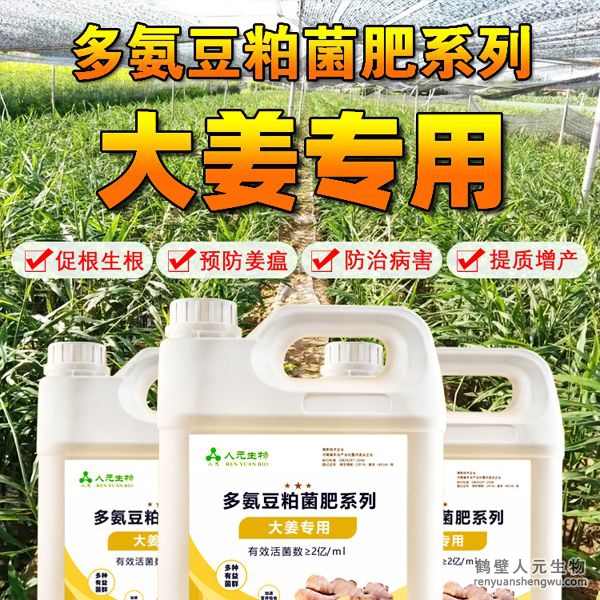 多氨豆粕菌肥系列大姜專用肥由河南省微生物菌劑工程技術(shù)研究中心研制，鶴壁市人元生物技術(shù)發(fā)展有限公司生產(chǎn)，本品是以固態(tài)發(fā)酵豆粕為主要原料，豆粕經(jīng)過有益微生物菌種發(fā)酵分解，充分釋放游離氨基酸，同時輔以枯草、地衣、膠凍樣芽孢桿菌等有益菌群。