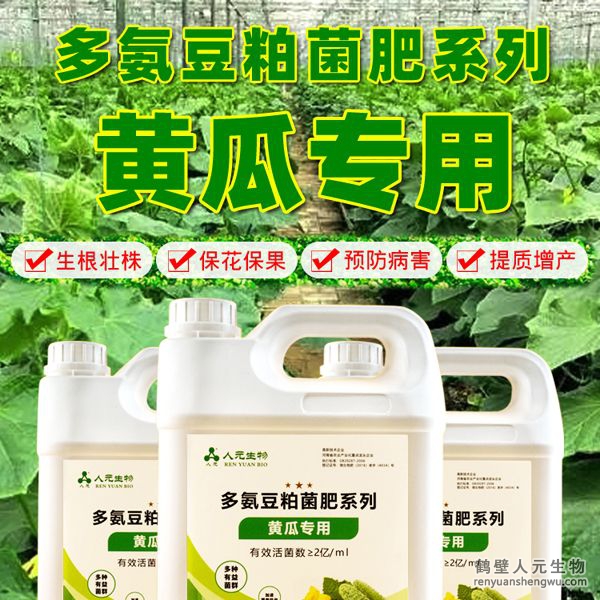 多氮豆粕菌肥系列黃瓜專用肥由河南省微生物菌劑工程技術(shù)研究中心研制，鶴壁市人元生物技術(shù)發(fā)展有限公司生產(chǎn)，本品是以固態(tài)發(fā)酵豆粕為主要原料，豆粕經(jīng)過有益微生物菌種發(fā)酵分解，充分釋放游離氨基酸，同時(shí)輔以枯草、地衣、膠凍樣芽孢桿菌等有益菌群。