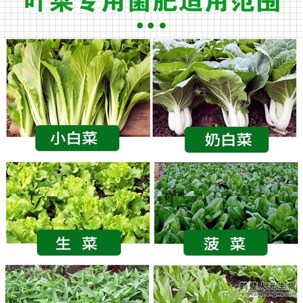 多氨豆粕菌肥系列葉菜類專用肥適用范圍：適用于生菜、雍菜、油菜、茼蒿、芹菜、菠菜、木耳菜、油麥菜、韭菜、娃娃菜、空心菜、菜心、莧菜等葉菜類作物。