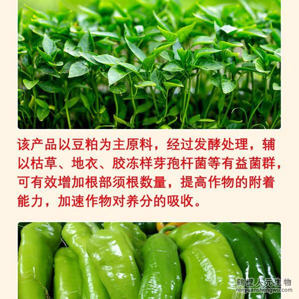 多氨豆粕菌肥系列辣椒專(zhuān)用肥產(chǎn)品特點(diǎn)3