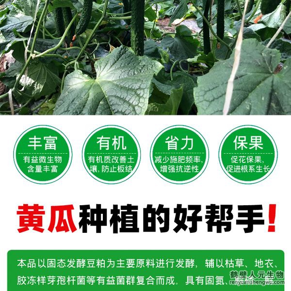提高肥料利用率，增加黃瓜產(chǎn)量，有助于提高黃瓜坐果率，促進(jìn)黃瓜果實(shí)膨大，提高黃瓜產(chǎn)量，改善黃瓜口感、瓜型、瓜色、色澤、品質(zhì)等。使黃瓜提早上市并延長采收期，并能提高黃瓜采收后的耐儲存能力，預(yù)防土傳病害，減少病害發(fā)生。