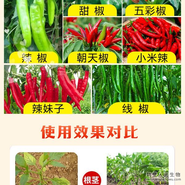 多氨豆粕菌肥系列辣椒專(zhuān)用肥使用效果圖1