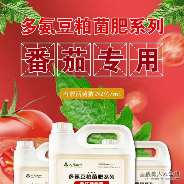 多氨豆粕菌肥系列西紅柿專用肥由河南省微生物菌劑工程技術(shù)研究中心研制，鶴壁市人元生物技術(shù)發(fā)展有限公司生產(chǎn)，本品是以固態(tài)發(fā)酵豆粕為主要原料，豆粕經(jīng)過有益微生物菌種發(fā)酵分解，充分釋放游離氨基酸，同時(shí)輔以枯草、地衣、膠凍樣芽孢桿菌等有益菌群。