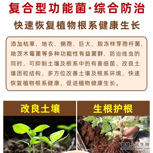 具有固氮、解磷、解鉀功能，轉(zhuǎn)化土壤中作物不能直接利用的氮、磷、鉀元素供作物吸收，同時(shí)可分泌大量的植物生長(zhǎng)調(diào)節(jié)物質(zhì)。連續(xù)兩年應(yīng)用后，通過(guò)調(diào)查對(duì)比，產(chǎn)品在加深耕層、提高作物產(chǎn)量、緩解重茬障得方面效果明顯。