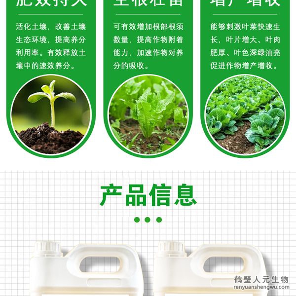 施用后各種營(yíng)養(yǎng)物質(zhì)能夠被葉菜迅速吸收并在體內(nèi)自由傳導(dǎo)，能夠刺激葉菜生長(zhǎng)細(xì)胞組織的快速分裂與增長(zhǎng)，使葉菜快速生長(zhǎng)，強(qiáng)化葉菜體內(nèi)新陳代謝，加速蛋白質(zhì)合成，促進(jìn)葉綠素的形成，增強(qiáng)光合作用，