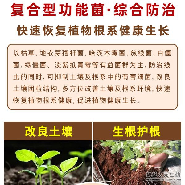 通過營養(yǎng)競爭、重寄生、細(xì)胞壁分解酵素、以及誘導(dǎo)植物產(chǎn)生抗性等多重機(jī)制，通過分泌胞外酶溶解細(xì)胞壁，穿透寄主菌絲，吸取營養(yǎng)，進(jìn)而將病原菌殺死，具有保護(hù)雙重功效。有效防止土傳病害真菌、細(xì)茵、病毒等病菌，具有廣譜高效、安全長效，無殘留等特點(diǎn)。特別加入中微量元素、核苷酸、整合植物蛋白，生根因子，抗病抗逆因子，可提高作物產(chǎn)量，增產(chǎn)15-20%，蔬菜瓜果增產(chǎn)30%。